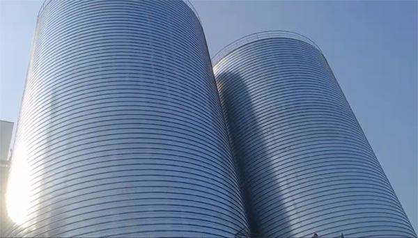 叶城2座混凝土高架卷板仓